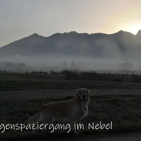 Appartement Zeit Grassau (Bavaria)