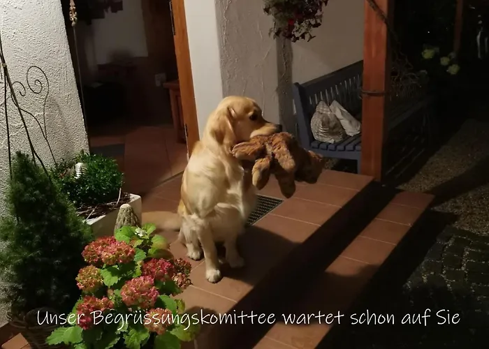 Appartement Zeit